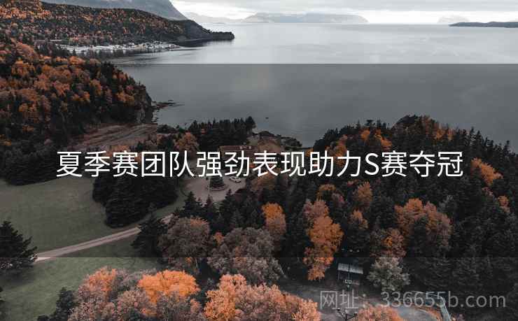 夏季赛团队强劲表现助力S赛夺冠