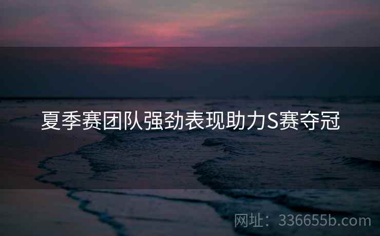 夏季赛团队强劲表现助力S赛夺冠