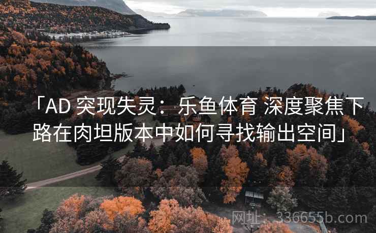 「AD 突现失灵：乐鱼体育 深度聚焦下路在肉坦版本中如何寻找输出空间」