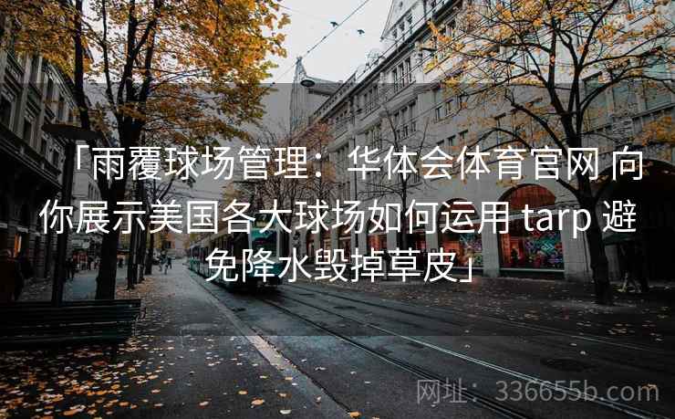 「雨覆球场管理：华体会体育官网 向你展示美国各大球场如何运用 tarp 避免降水毁掉草皮」