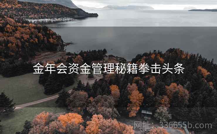 金年会资金管理秘籍拳击头条