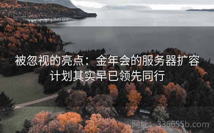 被忽视的亮点：金年会的服务器扩容计划其实早已领先同行