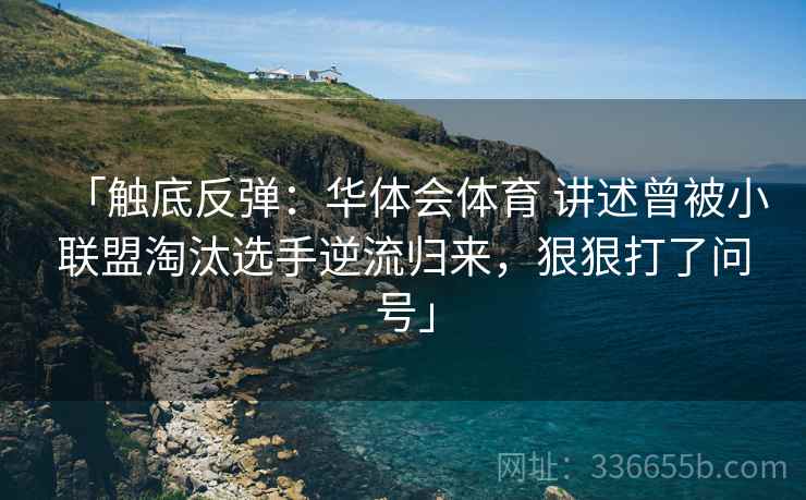 「触底反弹：华体会体育 讲述曾被小联盟淘汰选手逆流归来，狠狠打了问号」