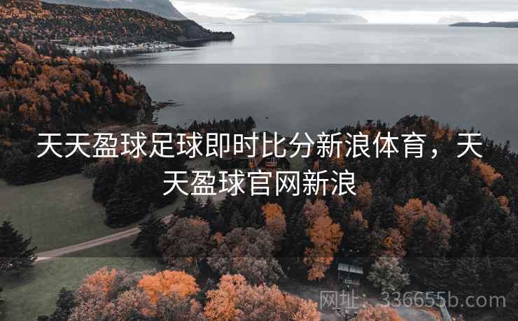 天天盈球足球即时比分新浪体育，天天盈球官网新浪