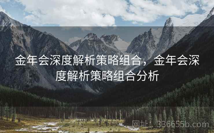 金年会深度解析策略组合，金年会深度解析策略组合分析