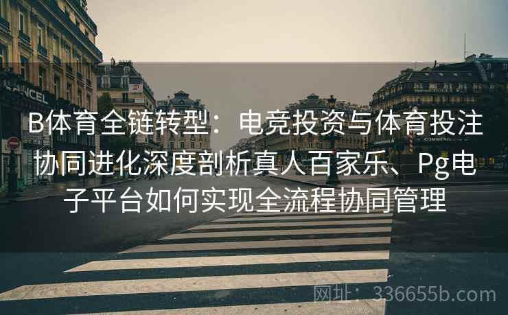 B体育全链转型：电竞投资与体育投注协同进化深度剖析真人百家乐、Pg电子平台如何实现全流程协同管理