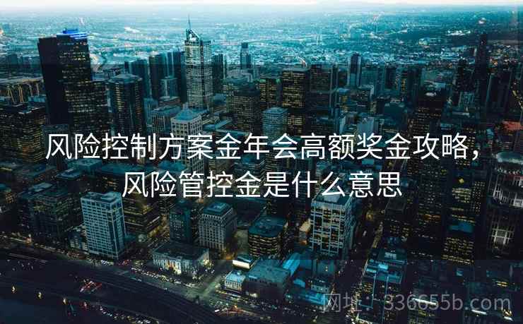 风险控制方案金年会高额奖金攻略，风险管控金是什么意思